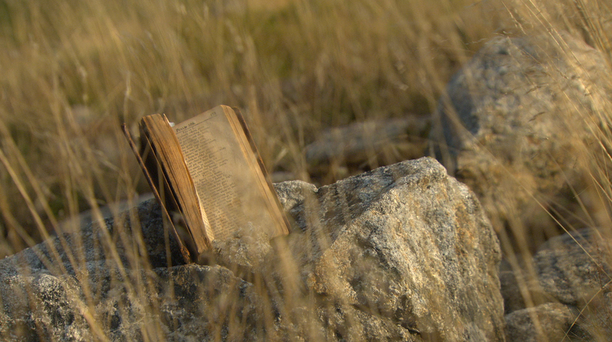 Behold The Earth Documentary Still: Bible In Wheat Field